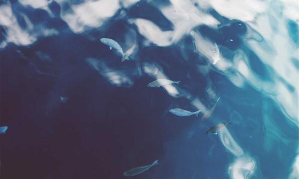 深度关注：印尼哈山努丁大学孔子学院恩星学校教学点揭牌仪式举行