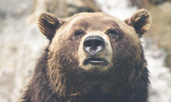 COP15主席黄润秋：将通过高级别会议解决关键难点议题